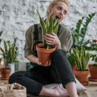 How Gardening Can Boost Your Wellbeing